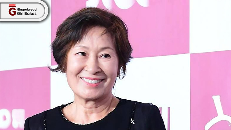 Kim Hye-ja: Ngôi Sao Diễn Xuất Của Điện Ảnh Hàn Quốc 2 Thông Tin Cơ Bản Về Kim Hye-ja